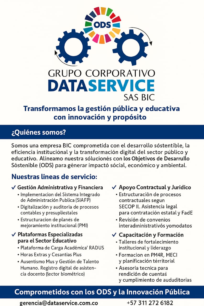 Dataservice Publicidad 2